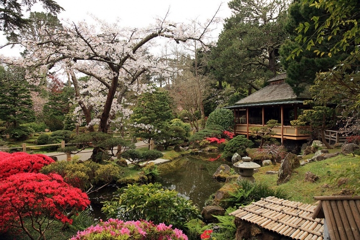 The Japanese Garden File:japanese Tea Garden, San Francisco - Wikimedia Image 118
