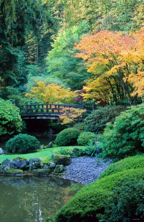 The Japanese Garden Strolling Garden At Portland Japanese Garden, Oregon-Photo Image 328