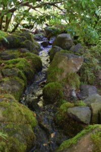 The Japanese Garden The Portland Japanese Garden – Gardeninacity Picture 606