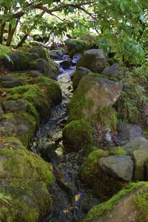 The Japanese Garden The Portland Japanese Garden – Gardeninacity Picture 606