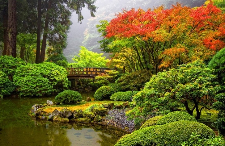 The Japanese Garden [Www.keralites] If It Is Dream Gardens, These Are The Photo 526
