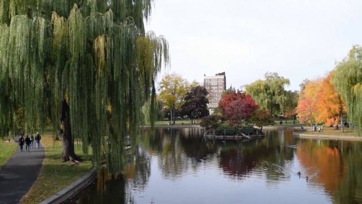 The Landscape Gardener Boston Public Garden - Boston - Youtube Image 244