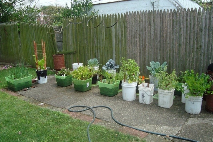 The Vegetable Garden Container Vegetable Gardening - Designing Your Container Photo 129
