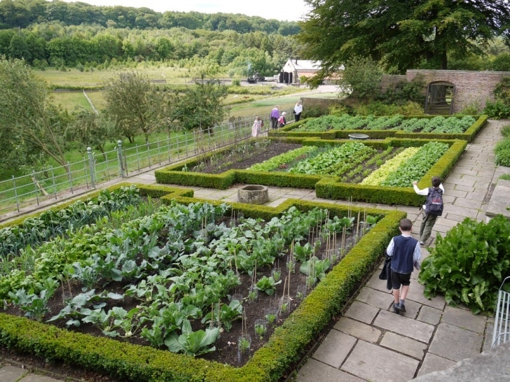 The Vegetable Garden File:pockerley Old Hall Vegetable Garden, Beamish Museum Image 117