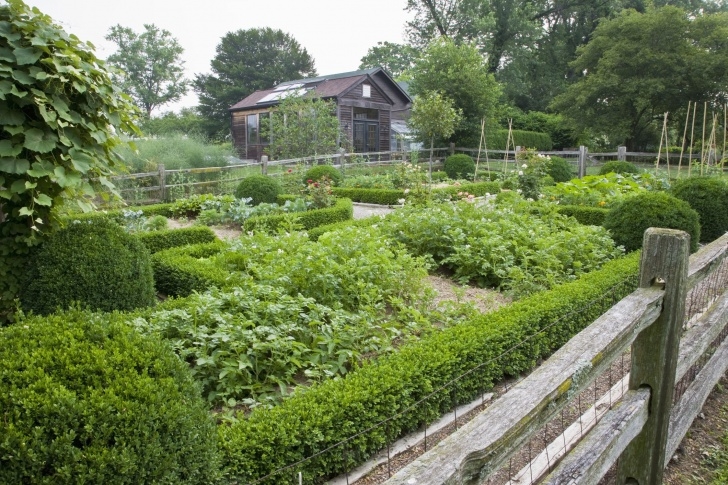 The Vegetable Garden Planning And Starting A Vegetable Garden Image 165