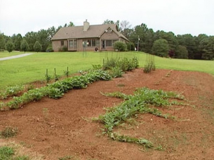 The Vegetable Garden Selecting The Best Location For A Garden | Diy Image 348
