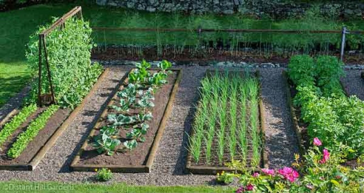 The Vegetable Garden The 10 Easiest Vegetables To Grow In Your Garden Image 662