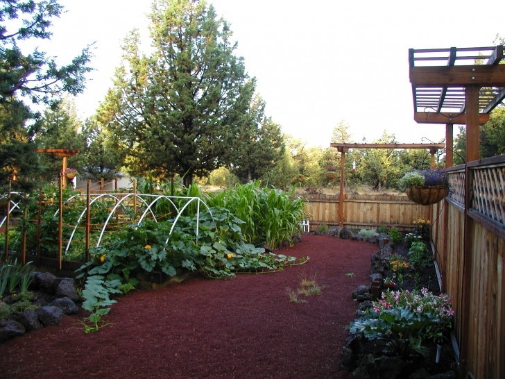 The Vegetable Garden Vegetable Gardening | Garden Beautiful Image 868