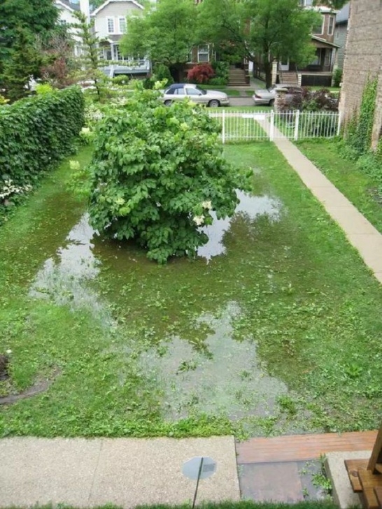 The Yard Makeovers Before And After Backyard Makeovers Picture 350