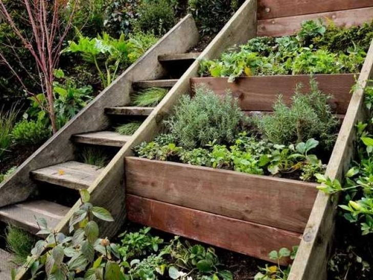 Tiered Raised Garden Bed Raised Beds For Easy, Low-Maintenance Backyard Gardens Picture 507