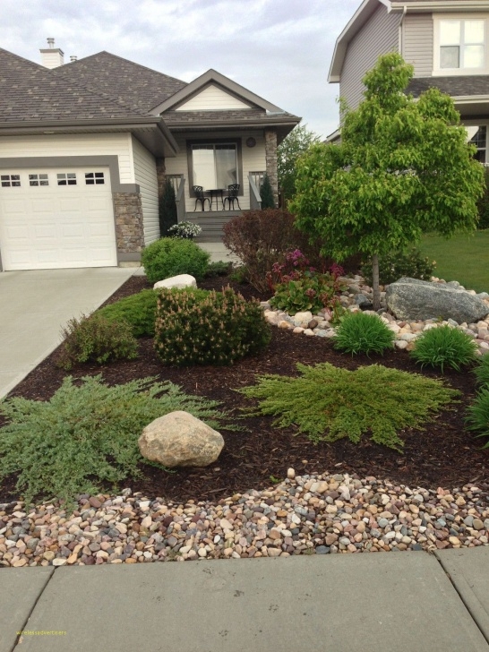 Tiny Front Garden 49+ Fancy Front Garden Designs | Farmhouse Landscaping Photo 992