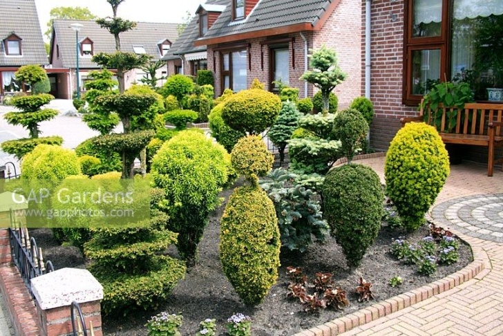 Tiny Front Garden Gap Gardens - Small Front Garden With Conifers Clipped As Image 818