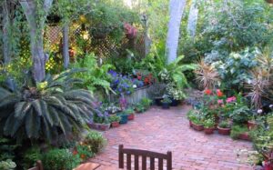 Tiny Tropical Garden My Dry Tropics Garden: All About My Place Image 989