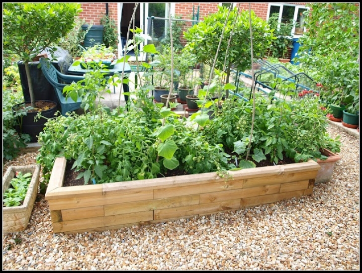 Tomatoes In Raised Beds Mark'S Veg Plot: The Woodblocx Raised Bed Picture 238