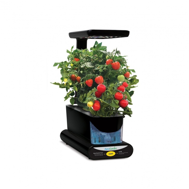 Transfer Aerogarden To Soil Pin On Products Photo 274