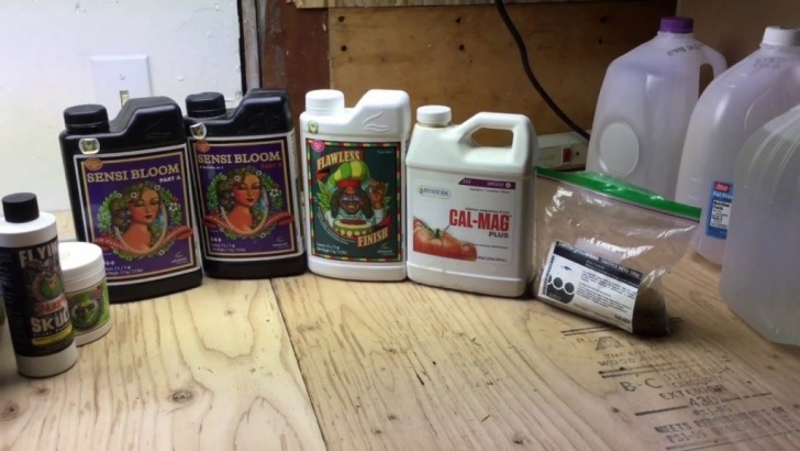Transplant Aerogarden To Soil How To Grow Good Cheap Weed Series: #6 Nutrients Image 997