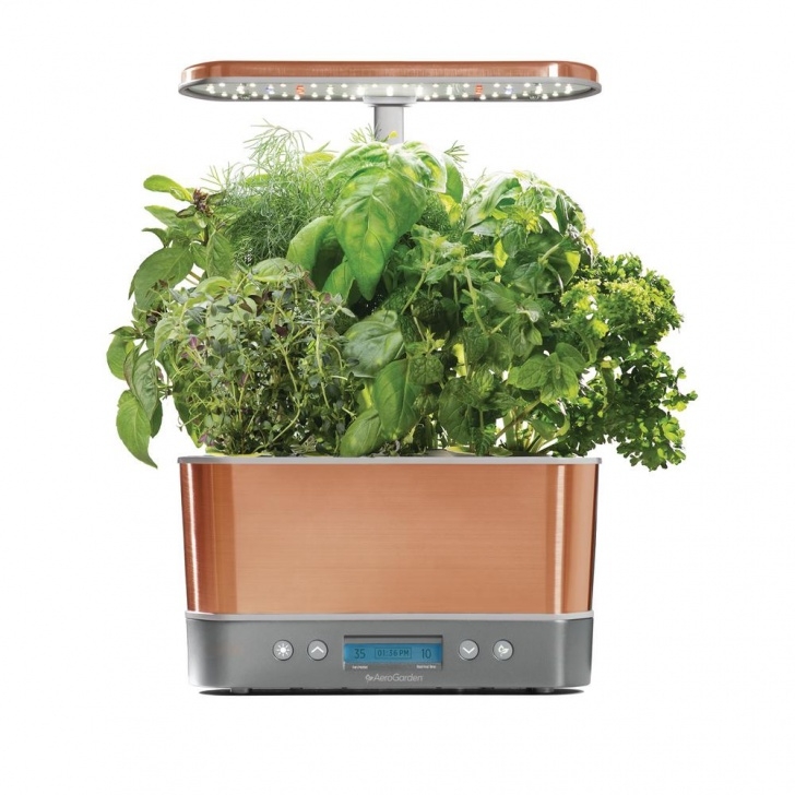 Transplant Aerogarden To Soil Hydroponic Gardening At The Home Depot Image 052