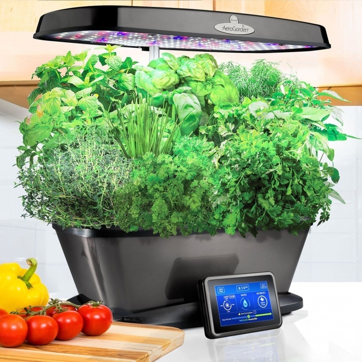 Transplanting Aerogarden Plants To Containers Miracle-Gro Aerogarden Bounty Elite With Gourmet Herb Seed Picture 989