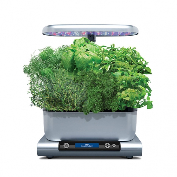 Transplanting Aerogarden Plants To Containers Pin By Dorothy Mielke On Good Things | Gourmet Herbs Picture 337