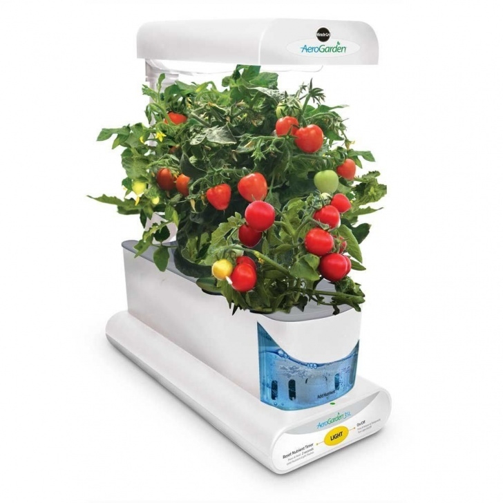 Transplanting Aerogarden Plants To Containers Pin On Kitchen Dyi Photo 532