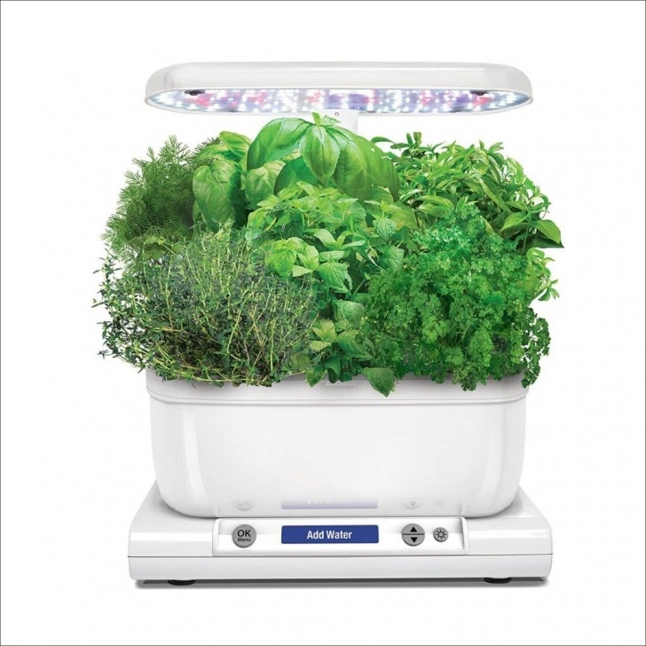 Transplanting Aerogarden Plants To Containers Top 10 Best Sprout Led With Gourmet Herb Seed Pod Kit In Picture 649