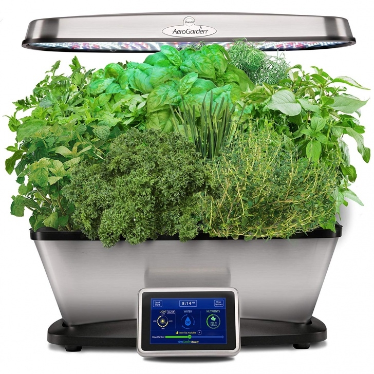 Transplanting Aerogarden Plants To Soil Aerogarden Bounty Elite With Gourmet Herb Seed Pod Kit Image 309