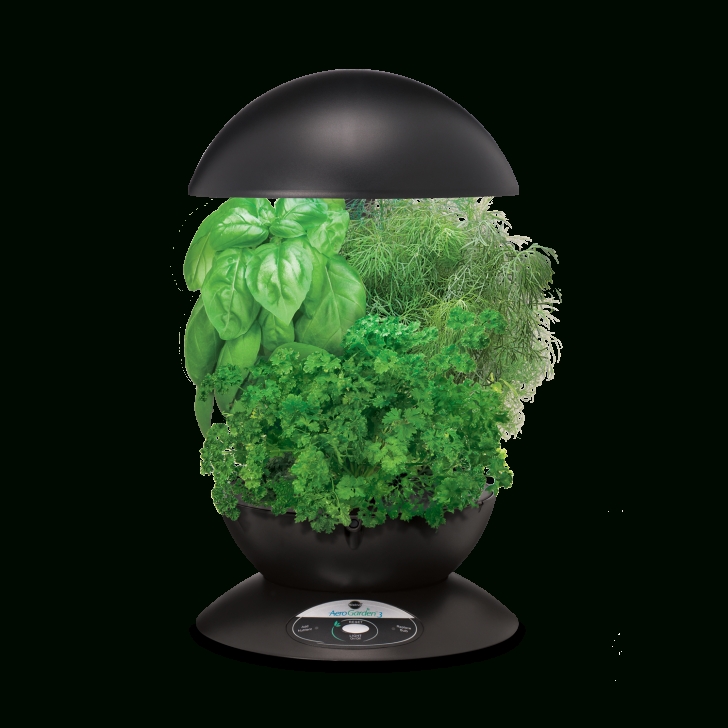 Transplanting Aerogarden Plants To Soil Aerogarden / Giveaway | Herb Seeds, Indoor Garden, Indoor Picture 404