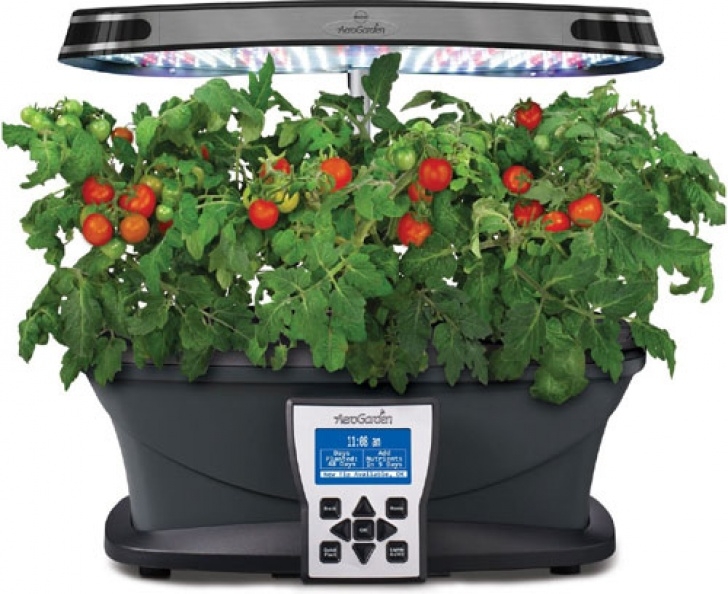 Transplanting Aerogarden Plants To Soil Miracle-Gro Aerogarden - Led Indoor Grow Systems Image 995