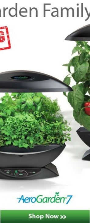 Transplanting Aerogarden Tomatoes Aero Garden | Herbs Indoors, Indoor Herb Garden, Growing Image 061