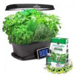 Transplanting Aerogarden Tomatoes Aerogarden Bounty With Gourmet Herb Seed Pod Kit | Herb Image 912