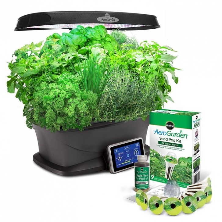 Transplanting Aerogarden Tomatoes Aerogarden Bounty With Gourmet Herb Seed Pod Kit | Herb Image 912