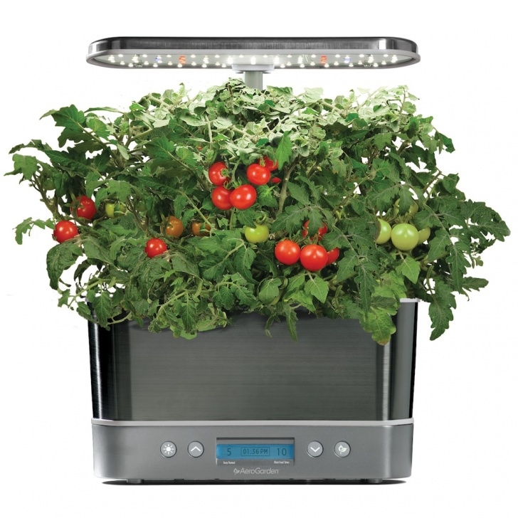 Transplanting Aerogarden Tomatoes Aerogarden Harvest Elite With Gourmet Herb Seed Pod Kit Image 157