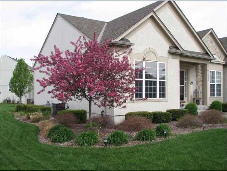 Trees For Small Backyard Dwarf-Trees-For-Landscaping-With-Red-Flower-Color-And Picture 947