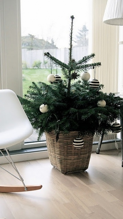 Trees For Small Spaces 44 Space-Saving Christmas Trees For Small Spaces - Digsdigs Image 389