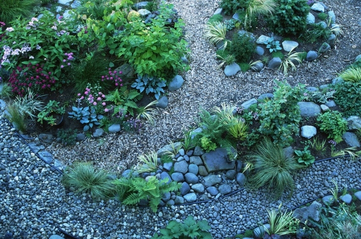 Trees Suitable For Small Gardens Rock Garden Design - What To Know, What To Grow Image 271