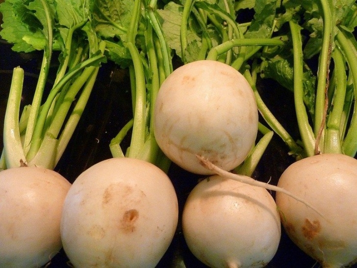 Turnip Companion Plants Turnip Harvest - When Are Turnips Ready For Picking Image 444