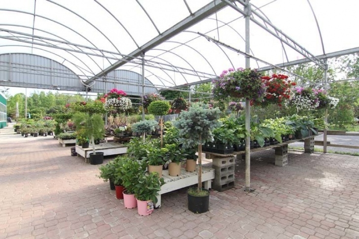 Van Dongen'S Garden Centre Landscaping &amp; Nursery Greenhouse Courtice, Van Belle’s Florist Whitby, Garden Centre Image 330
