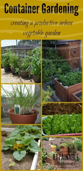 Vegetable Container Gardening For Beginners Container Vegetable Gardening For Beginners - Attainable Photo 262