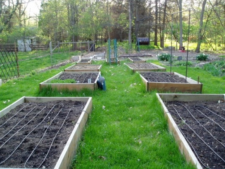 Vegetable Garden Drip Irrigation Layout Build &amp; Install Raised Garden Beds Image 322