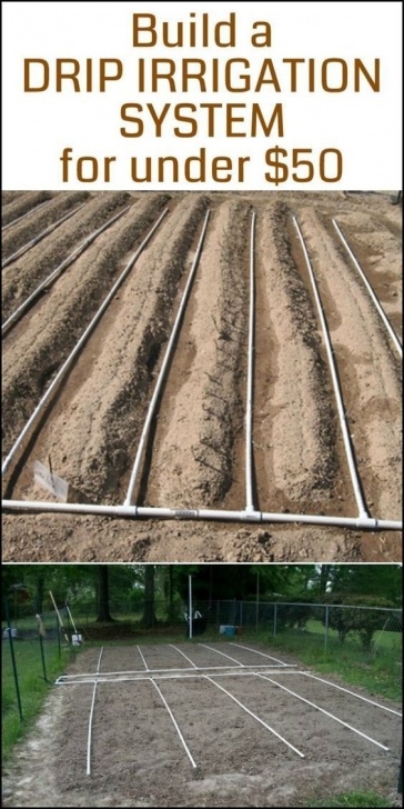 Vegetable Garden Drip Irrigation Layout Need A Drip Irrigation System In Your Vegetable Garden Image 480
