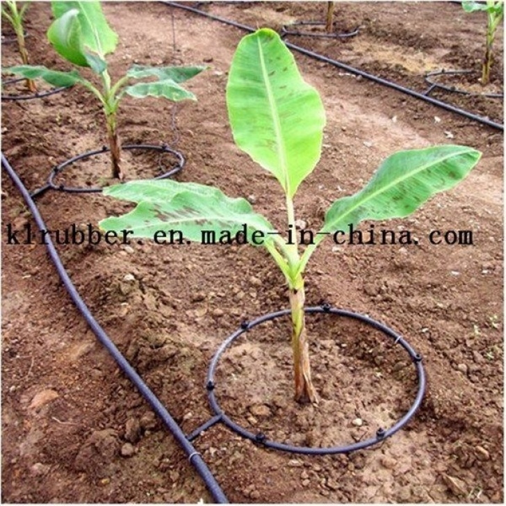 Vegetable Garden Drip Irrigation Layout Pin By David On Agriculture | Garden Watering System, Drip Image 647