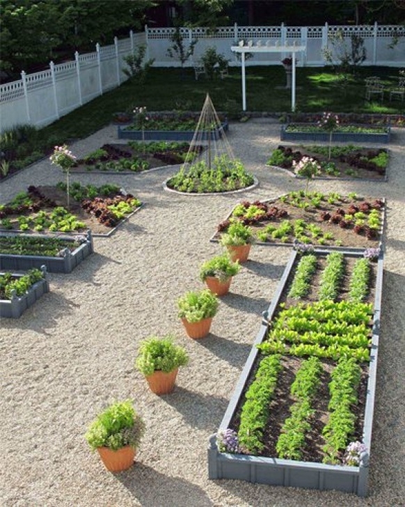 Vegetable Garden Layout Plans Design Ideas For Vegetable Gardens - Landscaping Network Photo 283