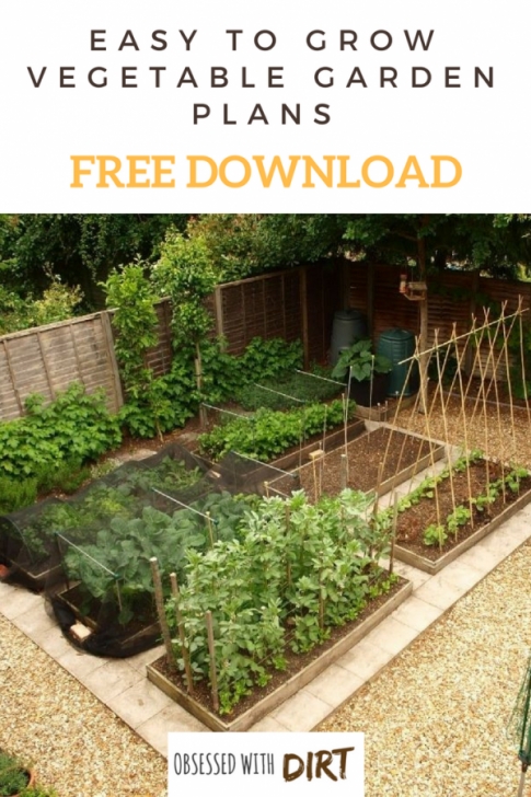 Vegetable Garden Layout Plans Free Vegetable Garden Layout, Plans And Planting Guides Photo 618