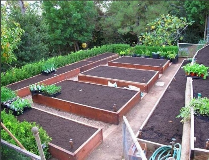 Vegetable Garden Layout Plans Hardscaping 101: Edible Gardens | Vegetable Garden Planner Image 598