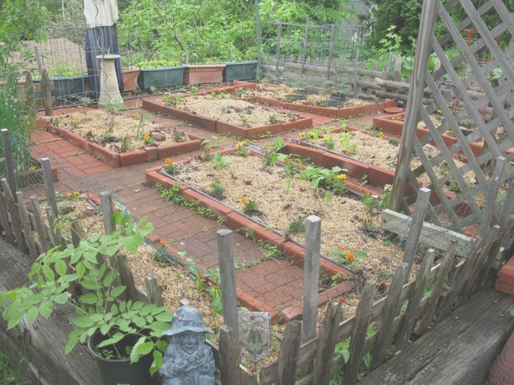 Vegetable Garden Layout Plans Inspirational Vegetable Garden Plans For Small Spaces Photo 547