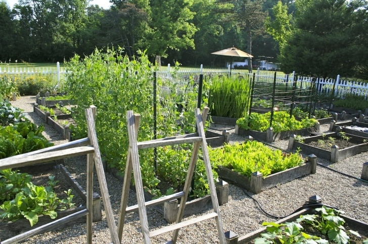 Vegetable Garden Layout Plans Planning Ideas For Your Vegetable Garden With Amy Stafford Picture 456