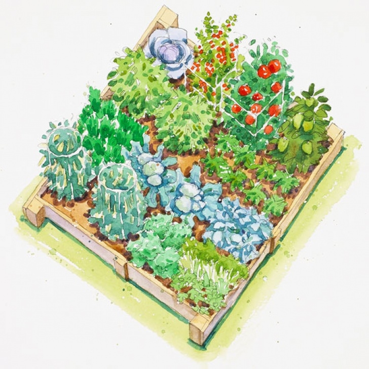 Vegetable Garden Layout Plans Plans For Vegetable Gardens Image 771