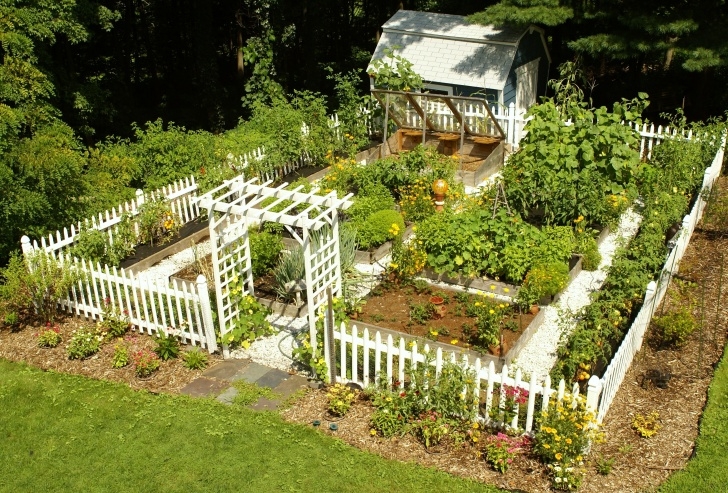 Vegetable Garden Layout Plans Small Vegetable Garden Plans Are Needed By Those Who Want Photo 435