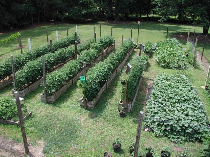 Vegetable Garden Layout Plans The 25+ Best Garden Layouts Ideas On Pinterest | Vegetable Photo 506