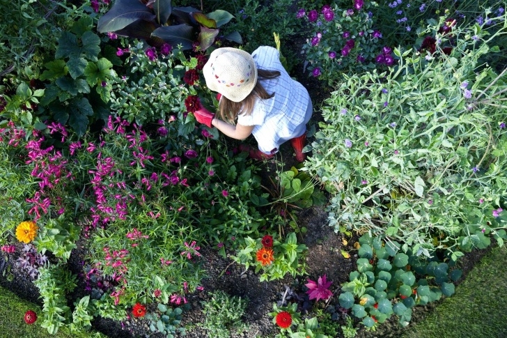 Vegetable Garden Weed Control Weed Control For Vegetable Garden – Kurierem.co Picture 514